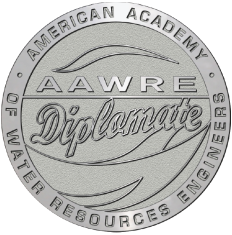 DWRE Pin web.png
